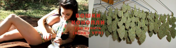 MESCALINE Новокубанск