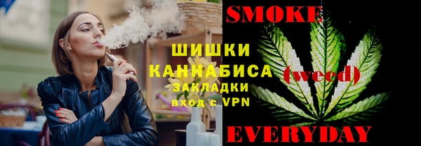 дурь Новодвинск