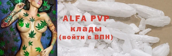 дурь Новодвинск