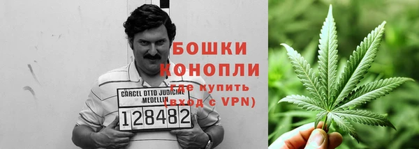ПСИЛОЦИБИНОВЫЕ ГРИБЫ Нефтекумск