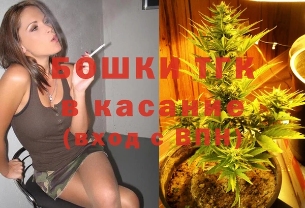 дурь Новодвинск