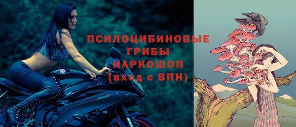ПСИЛОЦИБИНОВЫЕ ГРИБЫ Нефтекумск