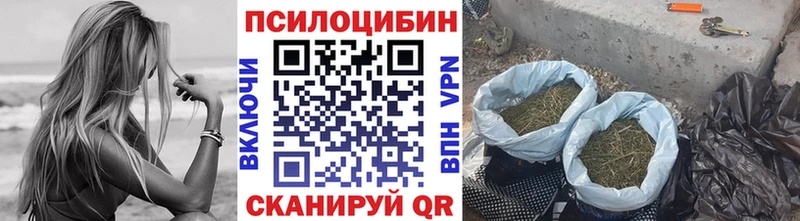 что такое   Беломорск  Псилоцибиновые грибы ЛСД 