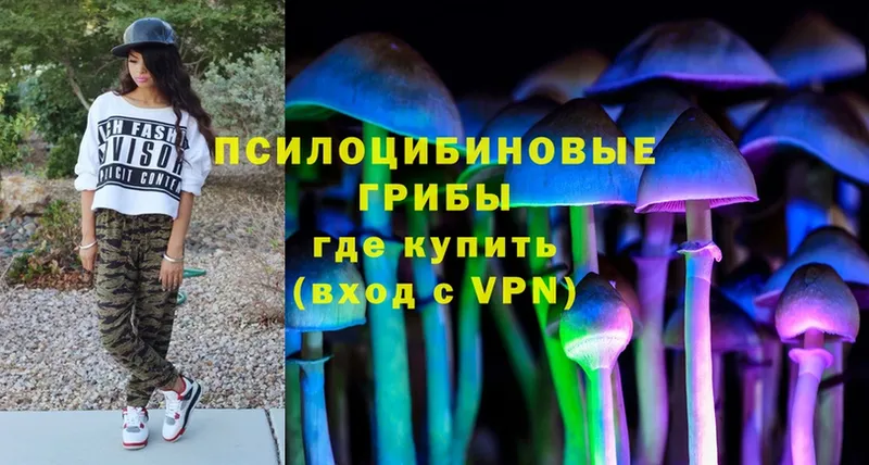 Галлюциногенные грибы Psilocybine cubensis  продажа наркотиков  Беломорск 